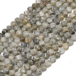 Natur Labradorit Perlen Stränge&nbsp;G-P611-C26-01