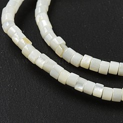 Natürlichen Süßwasser-Muschelperlen Stränge&nbsp;BSHE-G039-03