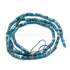 Cuentas naturales de apatita hebras&nbsp;G-P457-B01-14