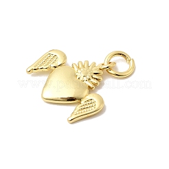 Messing Anhänger & Charms&nbsp;KK-P343-08B-G