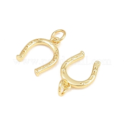 Messing Anhänger & Charms&nbsp;ZIRC-I044-37B