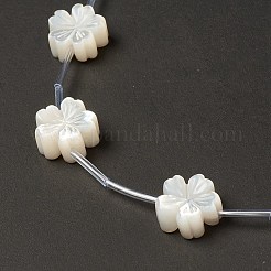 Guscio bianco naturale madreperla perle di conchiglia&nbsp;BSHE-B005-09