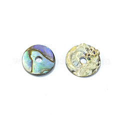 Natürliche Paua Muschel / Abalone Muschel Perlen&nbsp;SSHEL-E551-31