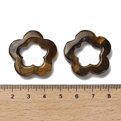 Tigre naturale cabochon occhio&nbsp;G-Q190-05E