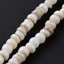 Natürliche kultivierte Süßwasser-Muschelperlenstränge&nbsp;SHEL-F002-01D