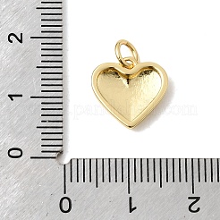 Messing Anhänger & Charms&nbsp;KK-H267-026B-G