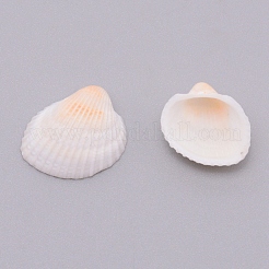 Natürliche Muschelperlen&nbsp;SSHEL-WH0001-30