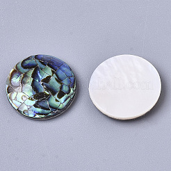 Cabochons coquille d'ormeau naturel / coquille de paua&nbsp;X-SSHEL-N034-45