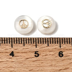 Natürliche flache runde Perlen aus Süßwassermuscheln&nbsp;SHEL-C009-01D