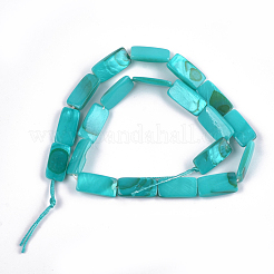 Perles de coquille d'eau douce peintes&nbsp;SHEL-T010-04E