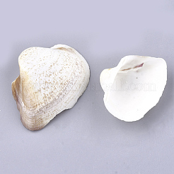 Natürliche Trochidschale / Trochusschalenperlen&nbsp;SSHEL-S258-44