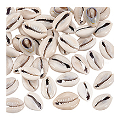 43 Stück natürliche Kauri-Muschelperlen.&nbsp;SSHEL-PH0001-47