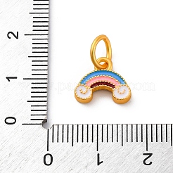 Legierung Emaille Anhänger / charms&nbsp;ENAM-E362-12B