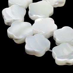 Natürliche Trochusmuschelperlenstränge&nbsp;X-BSHE-P033-07