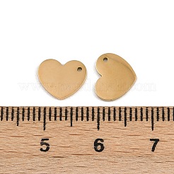Anhänger aus 304 Edelstahl&nbsp;STAS-G357-17G