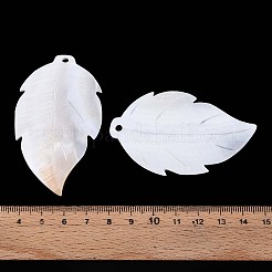 Natürliche Süßwassermuschel geschnitzte große Anhänger&nbsp;SHEL-T020-50