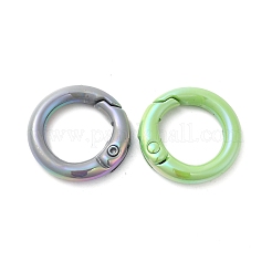 Federring aus spritzlackierter Legierung&nbsp;PALLOY-H131-10