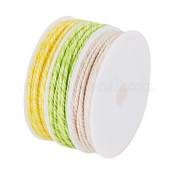 Cordon tressé en polyester 10.5 couleurs de 3 m&nbsp;OCOR-TA0003-83B