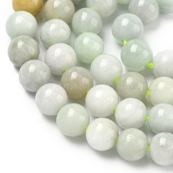 Natürliche myanmarische Jade / burmesische Jade-Perlenstränge&nbsp;G-K310-C05-8mm-01