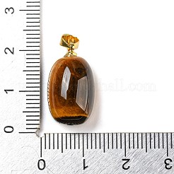 Pendentifs en œil de tigre naturel&nbsp;LS-G-D094-05A-G