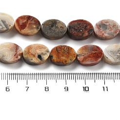 Fili di perline di agata pazza tinte e riscaldate naturalmente&nbsp;G-P559-B28-01