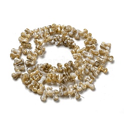 Naturali di acqua dolce perline shell fili&nbsp;SHEL-C005-03