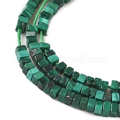 Natur Malachit Perlen Stränge&nbsp;G-G271-G01-1x1.5mm