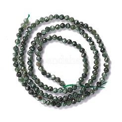 Naturperlen Stränge SERAPHINITE&nbsp;G-A021-07B