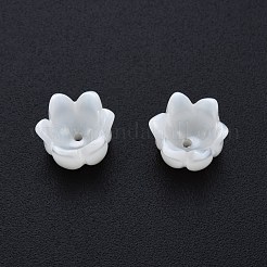 Cappucci di perline di conchiglia bianca naturale&nbsp;SSHEL-G024-03B