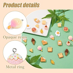 24pcs 12 styles de pendentifs en résine opaque&nbsp;CRES-YW0001-34