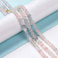 Chapelets de perles en morganite naturelle&nbsp;G-P213-18-4mm