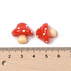 Harz Cabochons&nbsp;X-RESI-S012-03A