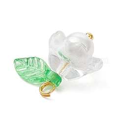 Pendentifs en verre&nbsp;PALLOY-MZ00837-04