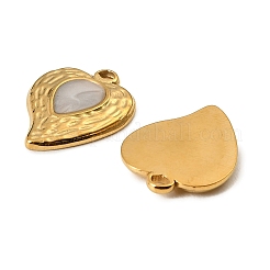 Pendentifs en acier inoxydable 304&nbsp;STAS-I371-12G-03