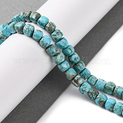 Fili di perline howlite naturale&nbsp;G-G001-B02-02