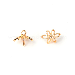 6 protezioni del branello ottone -petal&nbsp;KK-WH0042-11