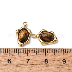 Natürliche Tigerauge unregelmäßige ovale Charms&nbsp;STAS-L022-525G-02
