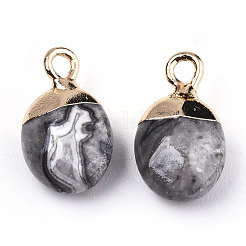 Naturkarte Stein / Picasso Stein / Picasso Jaspis Charms&nbsp;G-N326-58B
