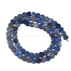 Natürlicher Lapislazuli Perlenstränge&nbsp;G-M403-A43-02