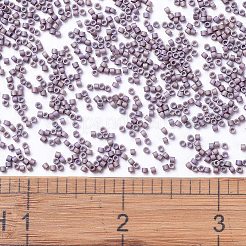 Miyuki Delica Perlen&nbsp;X-SEED-J020-DB1064
