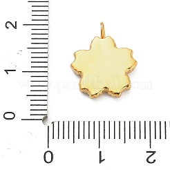 Pendentifs en acier inoxydable 304 émaillés&nbsp;STAS-F331-01C-G