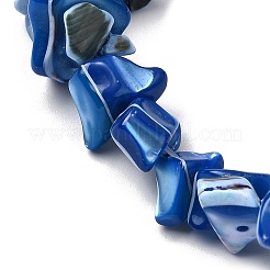 Chapelets de perles de coquille de trochid / trochus coquille&nbsp;SHEL-B003-02G