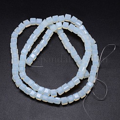 Facettiert Würfel Opalite Perlen Stränge&nbsp;EGLA-E041-5mm-C01