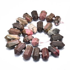 Perline Rhodonite naturale fili&nbsp;G-F715-046