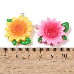 Pendentifs en résine&nbsp;RESI-D016-04A