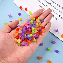 Perles en acrylique transparente&nbsp;PL554-M