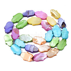 Naturali di acqua dolce perline shell fili&nbsp;SHEL-S278-02-B02