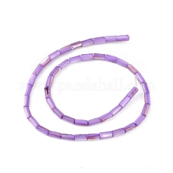 Brins de perles d'eau douce naturelles teints en coquille&nbsp;SHEL-M018-11-08
