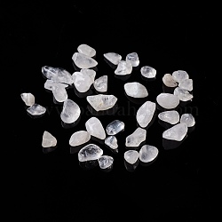 Quarzo naturale chip perline di cristallo, perle di cristallo di rocca, Senza Buco, 5~10.5x5~7x2~4mm, circa 3000pcs/1000g