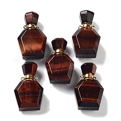 Natürliche Tigerauge Parfümflaschenanhänger, Polygon-Anhänger für ätherische Öle, facettierte Flaschenanhänger mit goldfarbenen Edelstahlzubehör, für Schmuck machen, 33.5~35x21~21.5x12~14 mm, Bohrung: 1.6 mm